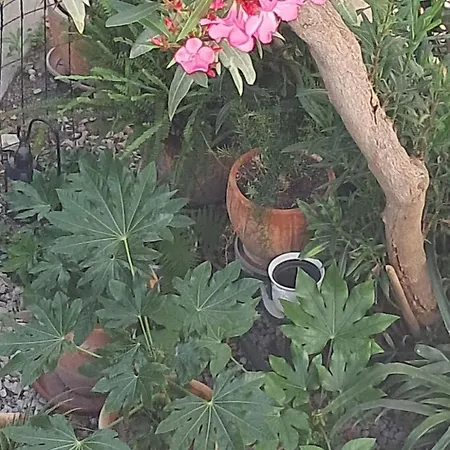 Centar By Interhome Šibenik