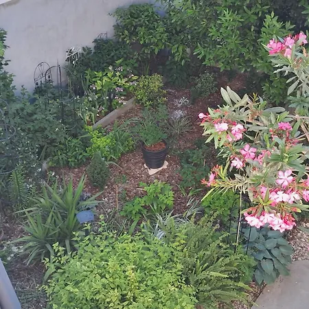 Centar By Interhome Apartment Šibenik