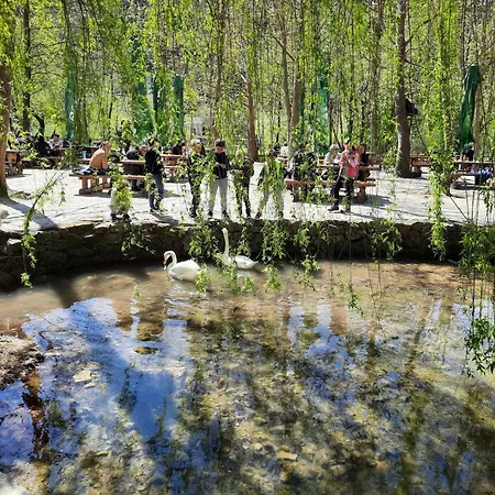 Centar By Interhome Šibenik