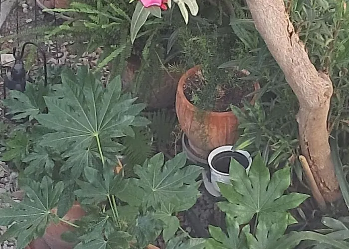 Centar By Interhome シベニク