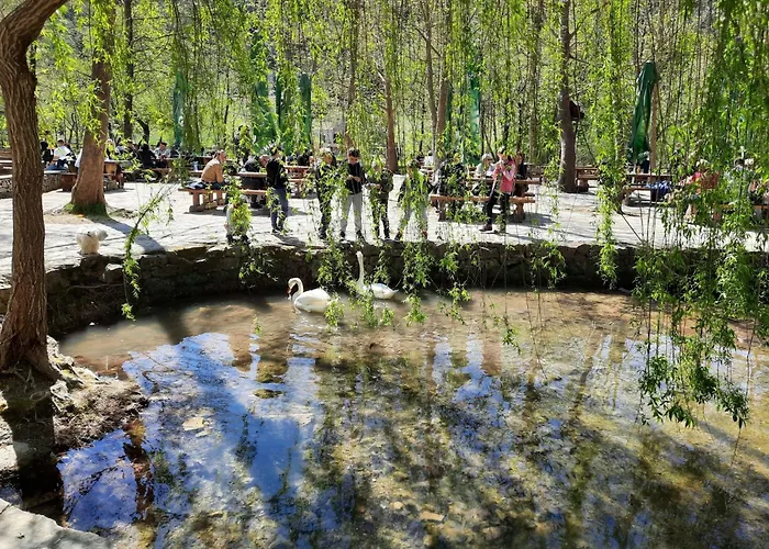 Centar By Interhome Sibenik